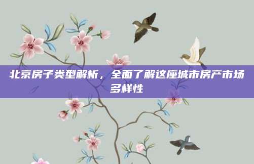 北京房子类型解析，全面了解这座城市房产市场多样性