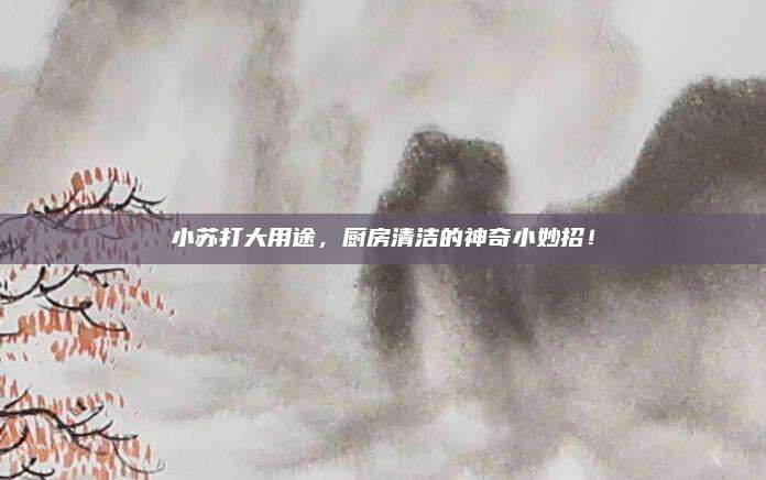 小苏打大用途，厨房清洁的神奇小妙招！
