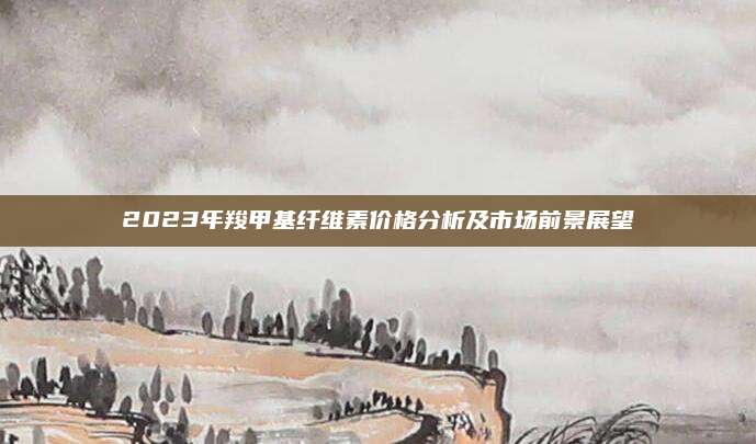 2023年羧甲基纤维素价格分析及市场前景展望