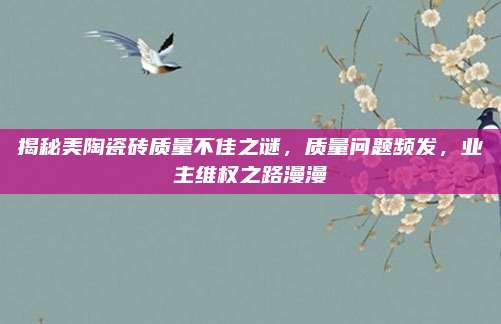 揭秘美陶瓷砖质量不佳之谜，质量问题频发，业主维权之路漫漫