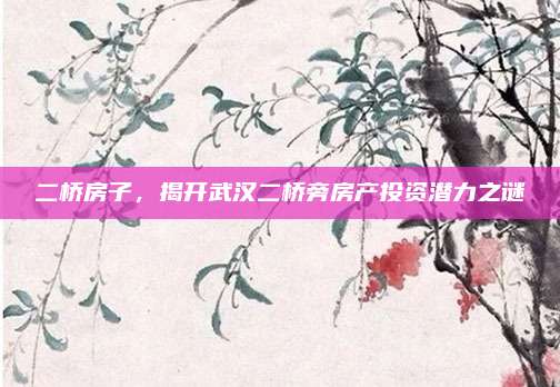 二桥房子，揭开武汉二桥旁房产投资潜力之谜