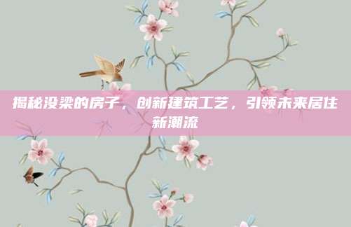 揭秘没梁的房子，创新建筑工艺，引领未来居住新潮流