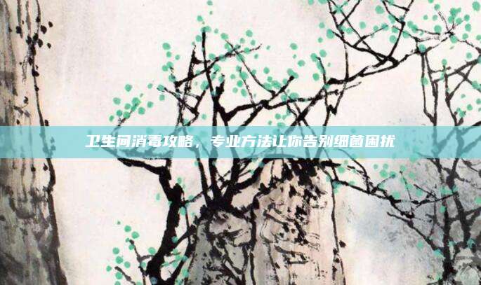 卫生间消毒攻略，专业方法让你告别细菌困扰