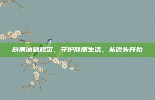 厨房油烟规范，守护健康生活，从源头开始