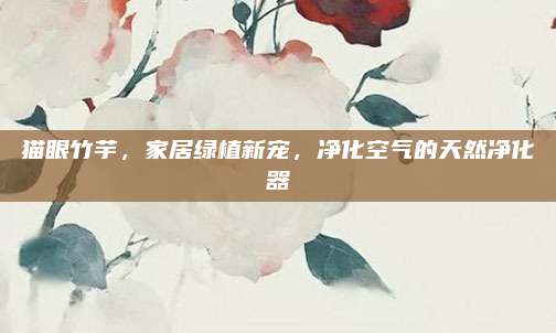 猫眼竹芋，家居绿植新宠，净化空气的天然净化器
