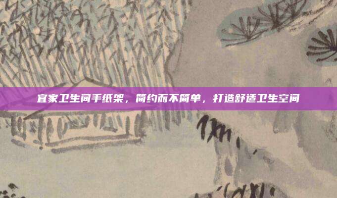 宜家卫生间手纸架，简约而不简单，打造舒适卫生空间