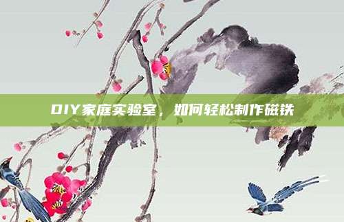 DIY家庭实验室，如何轻松制作磁铁