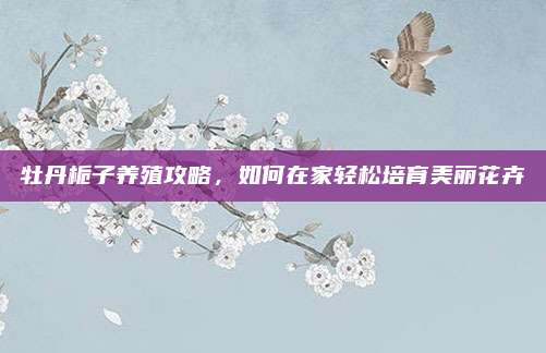 牡丹栀子养殖攻略，如何在家轻松培育美丽花卉