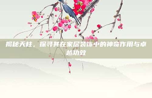 揭秘天柱，探寻其在家居装饰中的神奇作用与卓越功效