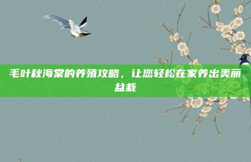 毛叶秋海棠的养殖攻略，让您轻松在家养出美丽盆栽