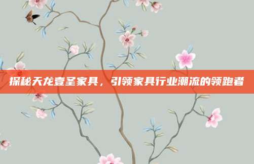 探秘天龙壹圣家具，引领家具行业潮流的领跑者
