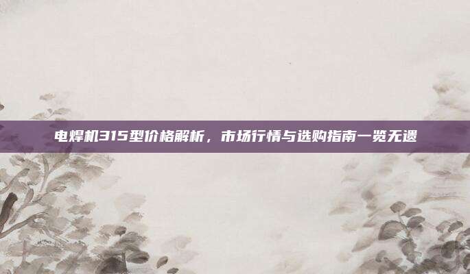 电焊机315型价格解析，市场行情与选购指南一览无遗