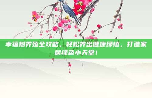 幸福树养殖全攻略，轻松养出健康绿植，打造家居绿色小天堂！
