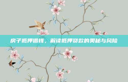 房子抵押借钱，解读抵押贷款的奥秘与风险