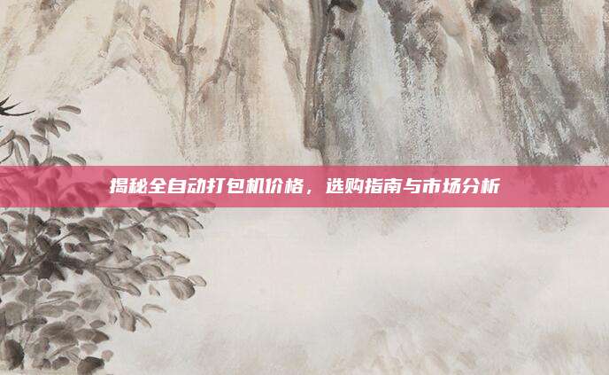 揭秘全自动打包机价格，选购指南与市场分析