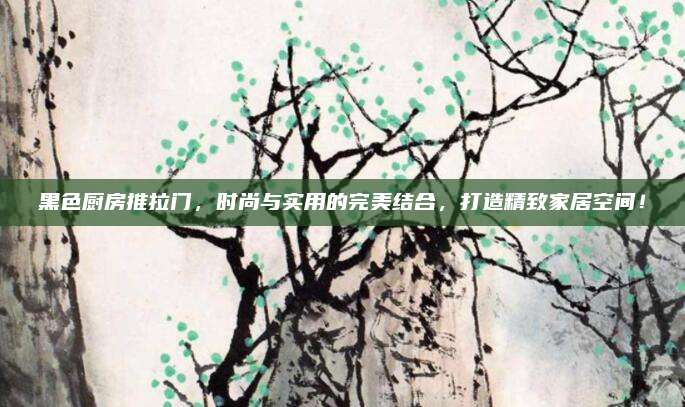 黑色厨房推拉门，时尚与实用的完美结合，打造精致家居空间！