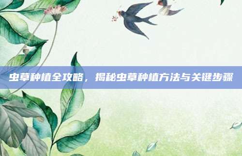 虫草种植全攻略，揭秘虫草种植方法与关键步骤