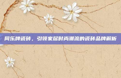 同乐牌瓷砖，引领家居时尚潮流的瓷砖品牌解析