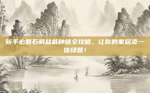 新手必看石斛盆栽种植全攻略，让你的家居添一抹绿意！