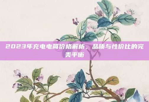 2023年充电电筒价格解析，品质与性价比的完美平衡