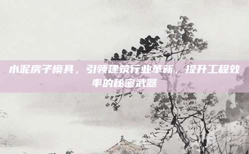 水泥房子模具，引领建筑行业革新，提升工程效率的秘密武器