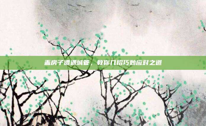 盖房子遭遇城管，教你几招巧妙应对之道