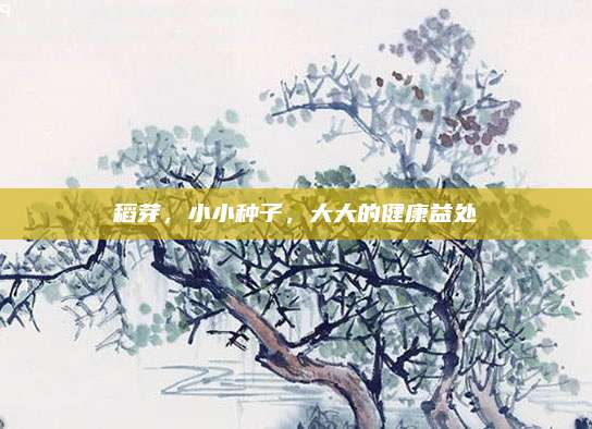 稻芽，小小种子，大大的健康益处