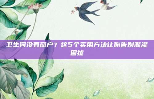 卫生间没有窗户？这5个实用方法让你告别潮湿困扰