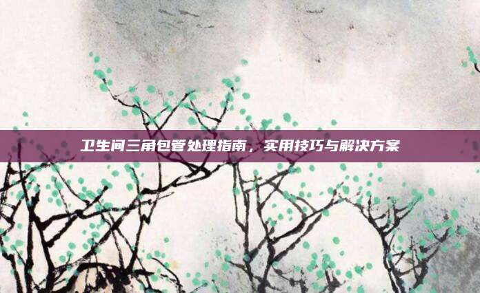 卫生间三角包管处理指南，实用技巧与解决方案