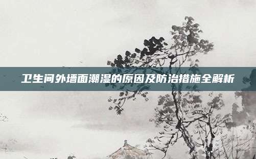 卫生间外墙面潮湿的原因及防治措施全解析