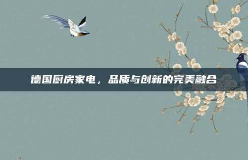 德国厨房家电，品质与创新的完美融合