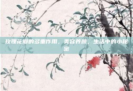 玫瑰花瓣的多重作用，美容养颜，生活中的小秘密