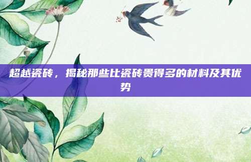 超越瓷砖，揭秘那些比瓷砖贵得多的材料及其优势