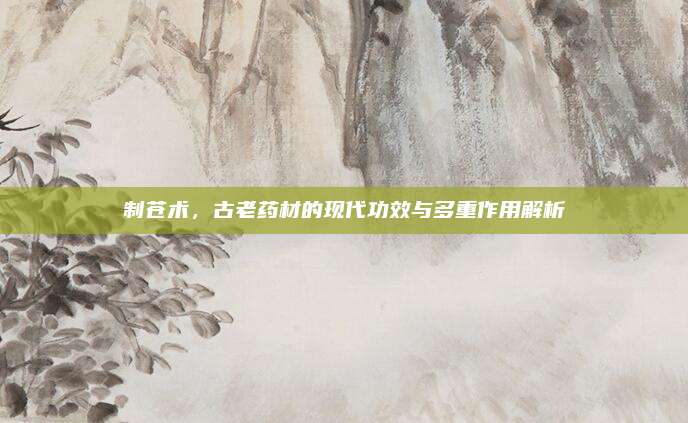 制苍术，古老药材的现代功效与多重作用解析