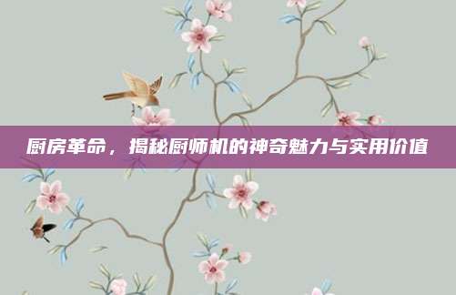 厨房革命，揭秘厨师机的神奇魅力与实用价值