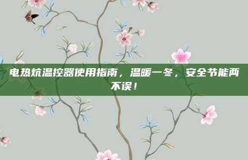 电热炕温控器使用指南，温暖一冬，安全节能两不误！