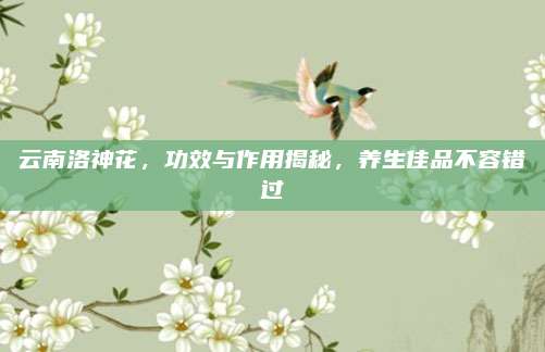 云南洛神花，功效与作用揭秘，养生佳品不容错过