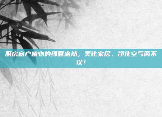 厨房窗户植物的绿意盎然，美化家居、净化空气两不误！