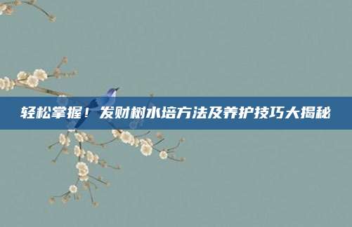 轻松掌握！发财树水培方法及养护技巧大揭秘