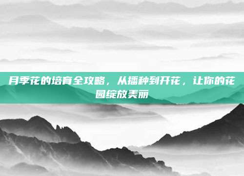 月季花的培育全攻略，从播种到开花，让你的花园绽放美丽