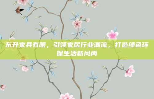 东升家具有限，引领家居行业潮流，打造绿色环保生活新风尚