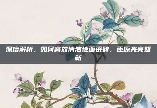 深度解析，如何高效清洁地面瓷砖，还原光亮如新