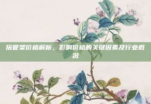搭管架价格解析，影响价格的关键因素及行业概况