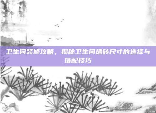 卫生间装修攻略，揭秘卫生间墙砖尺寸的选择与搭配技巧