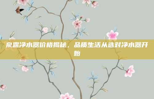 泉露净水器价格揭秘，品质生活从选对净水器开始