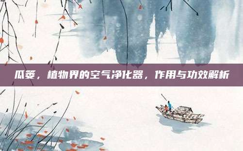 瓜篓，植物界的空气净化器，作用与功效解析
