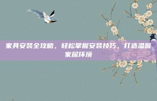 家具安装全攻略，轻松掌握安装技巧，打造温馨家居环境