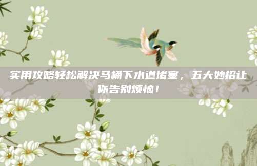 实用攻略轻松解决马桶下水道堵塞，五大妙招让你告别烦恼！