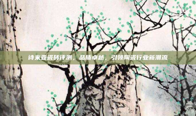 诗米亚瓷砖评测，品质卓越，引领陶瓷行业新潮流