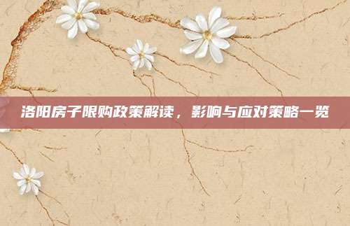 洛阳房子限购政策解读，影响与应对策略一览